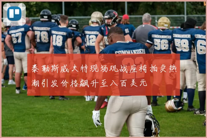 泰勒斯威夫特现场观战座椅拍卖热潮引发价格飙升至八百美元
